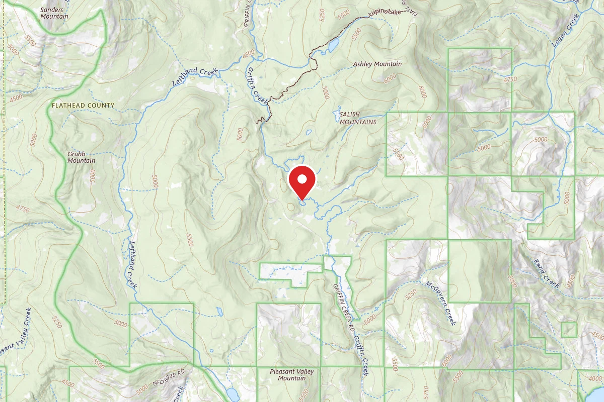 Flathead Dispersed Campsite 9630-2
