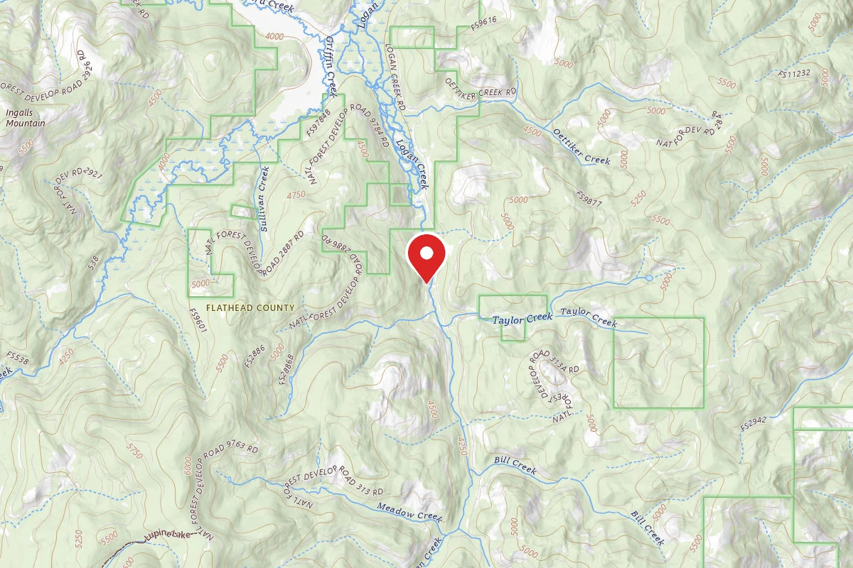 Flathead Dispersed Campsite 9784 LOGAN