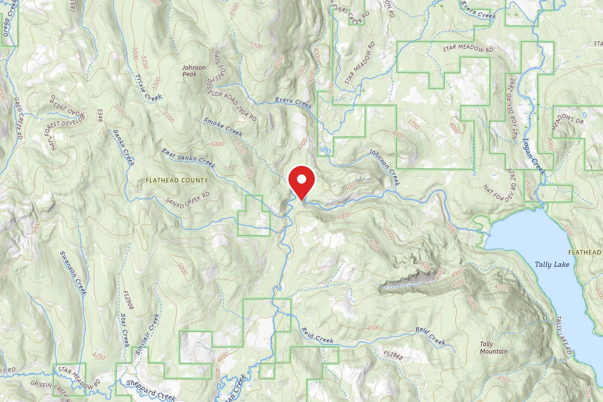 Flathead Dispersed Campsite ROAD 913-1