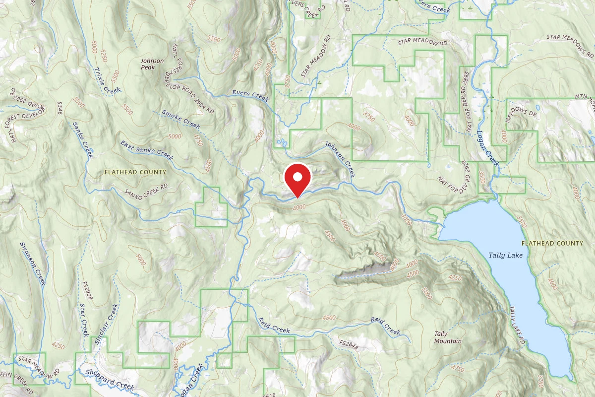 Flathead Dispersed Campsite ROAD 913-2