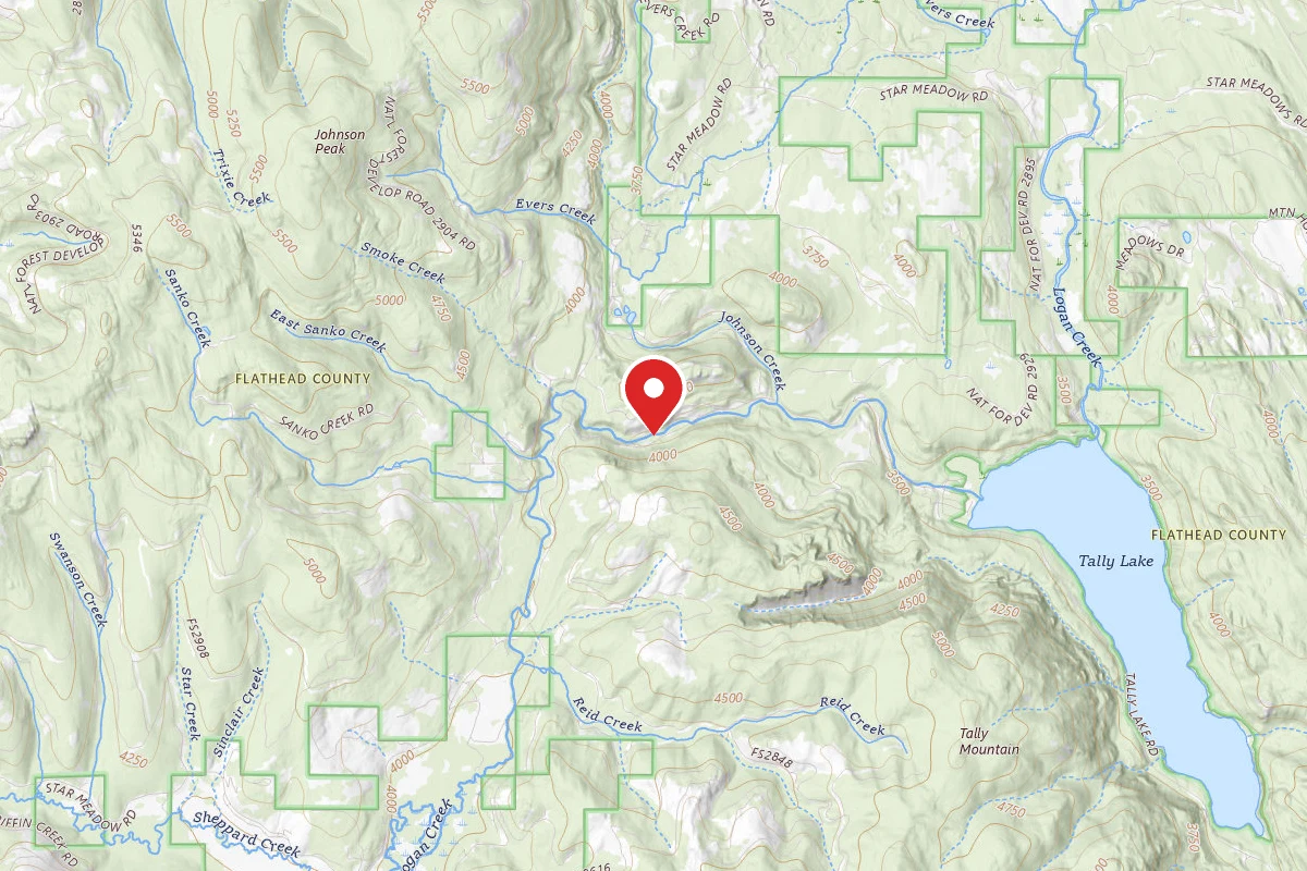 Flathead Dispersed Campsite ROAD 913-2A