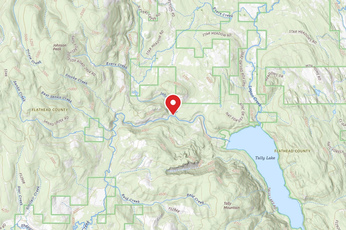 Flathead Dispersed Campsite ROAD 913-4