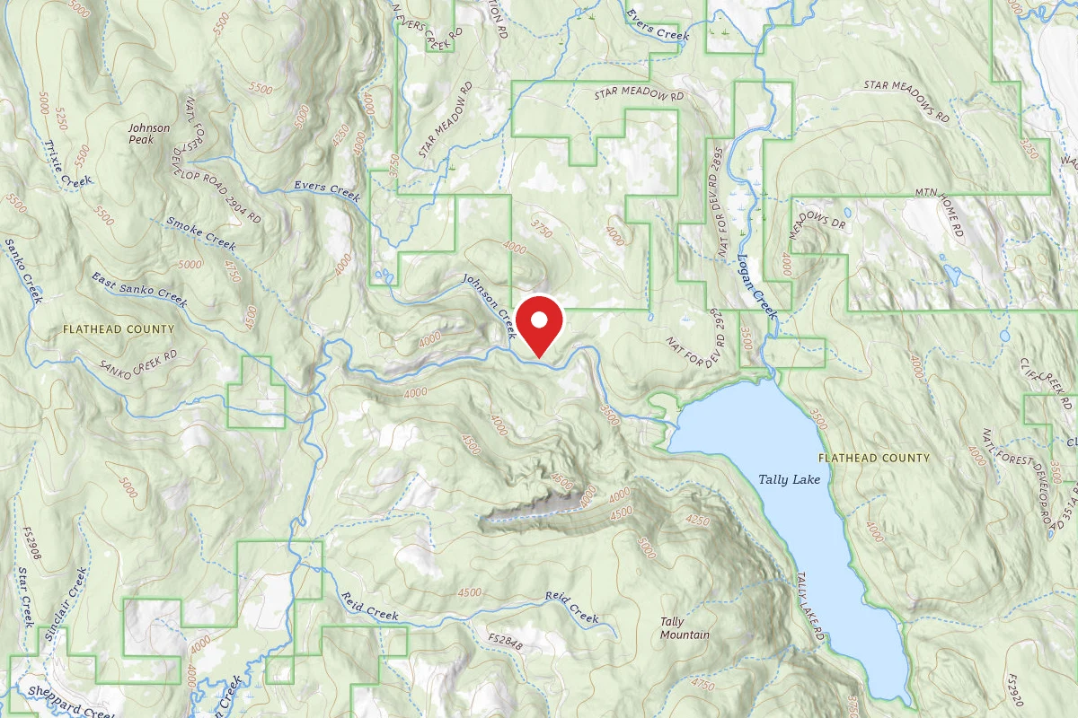 Flathead Dispersed Campsite ROAD 913-5