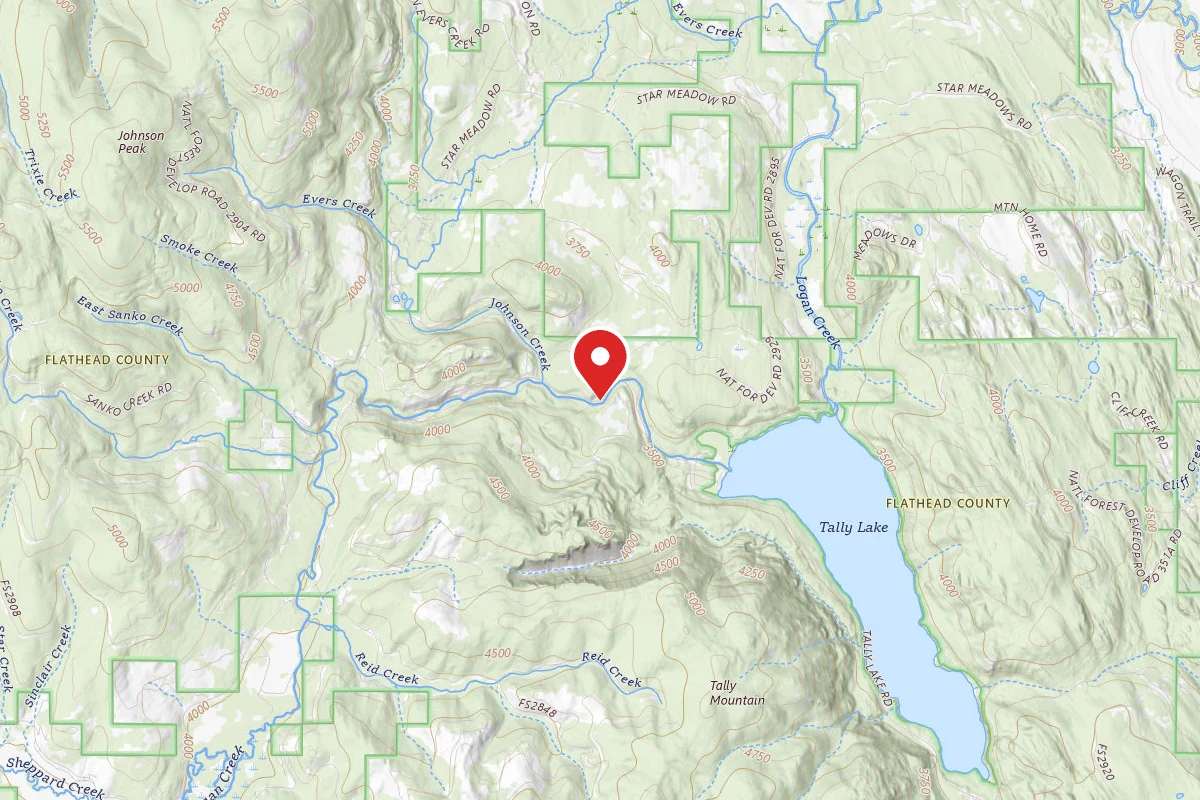 Flathead Dispersed Campsite ROAD 913-6
