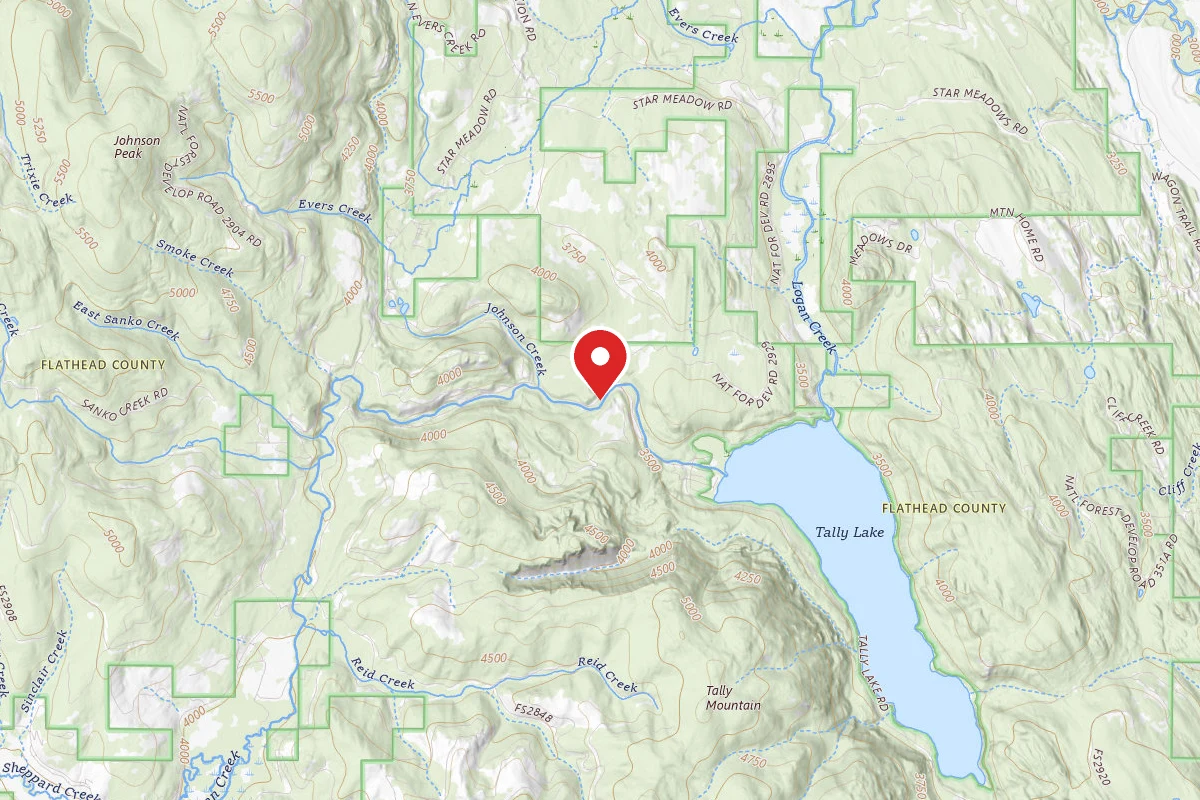 Flathead Dispersed Campsite ROAD 913-7