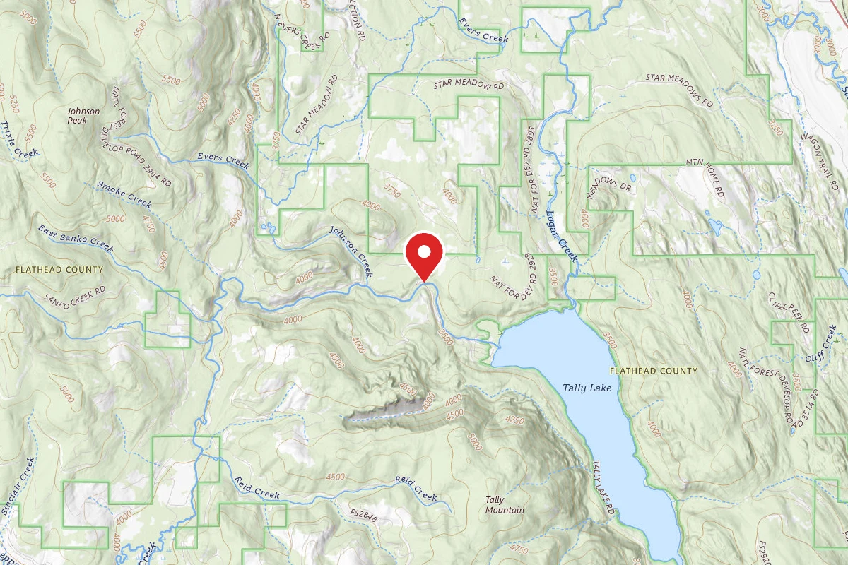 Flathead Dispersed Campsite ROAD 913-8