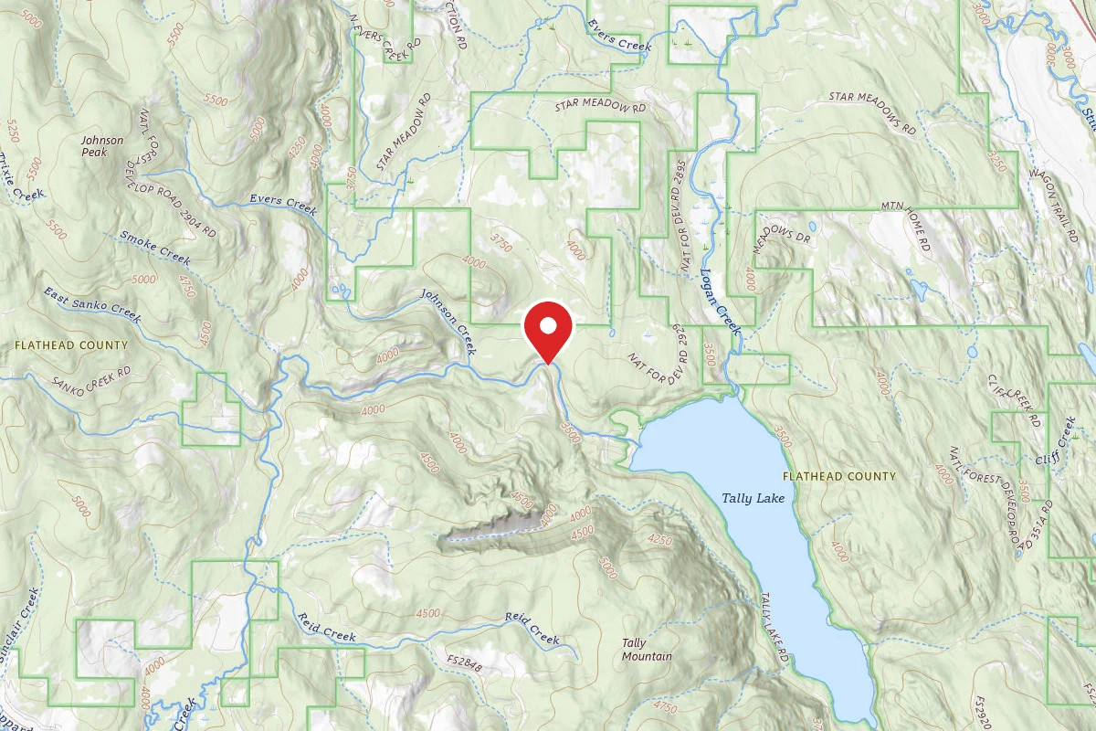 Flathead Dispersed Campsite ROAD 913-9A