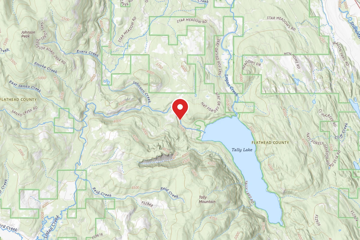 Flathead Dispersed Campsite ROAD 913-10