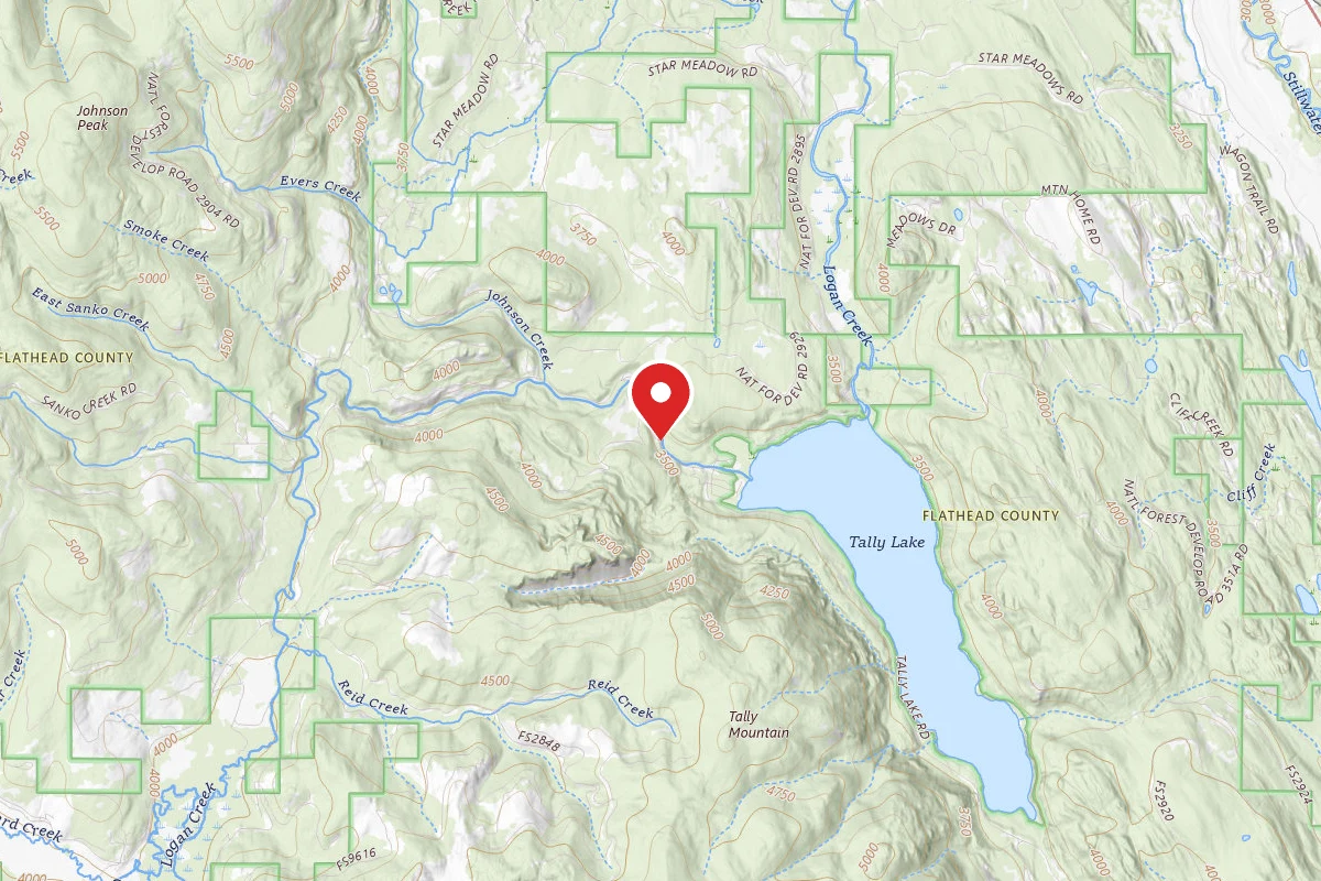 Flathead Dispersed Campsite ROAD 913-11