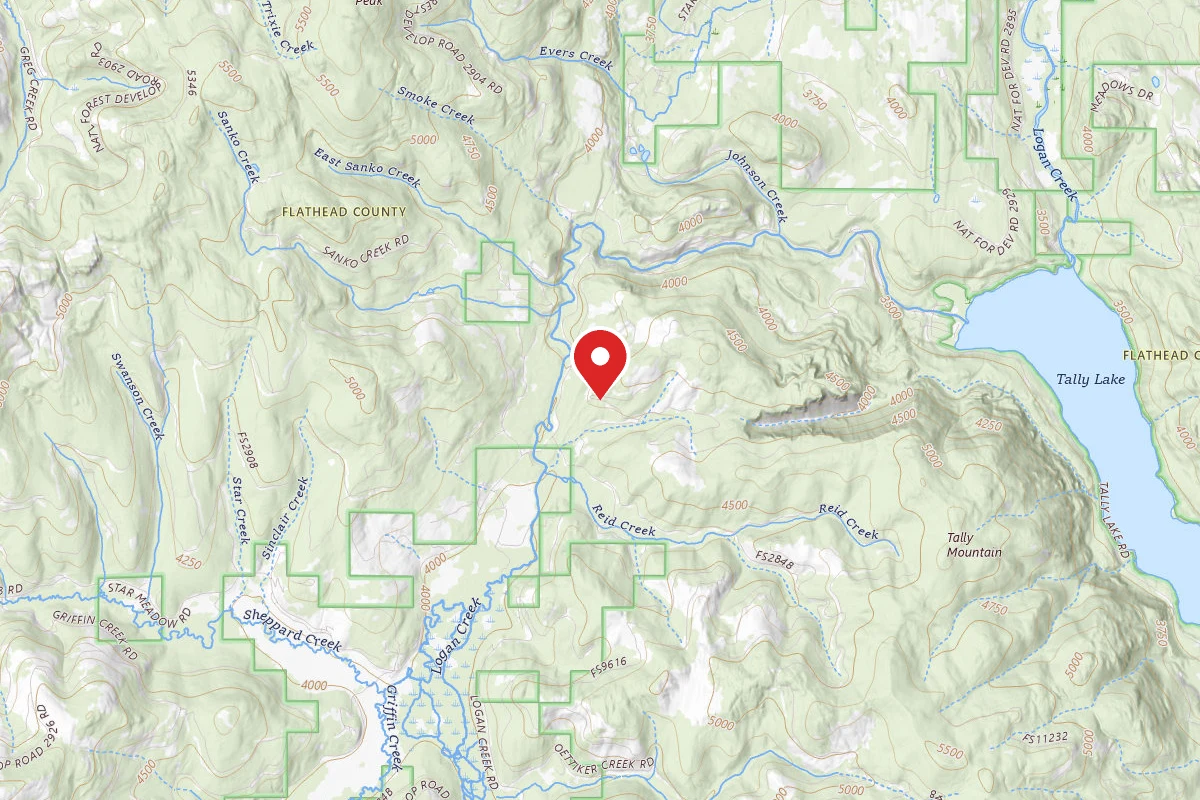 Flathead Dispersed Campsite 2912-1