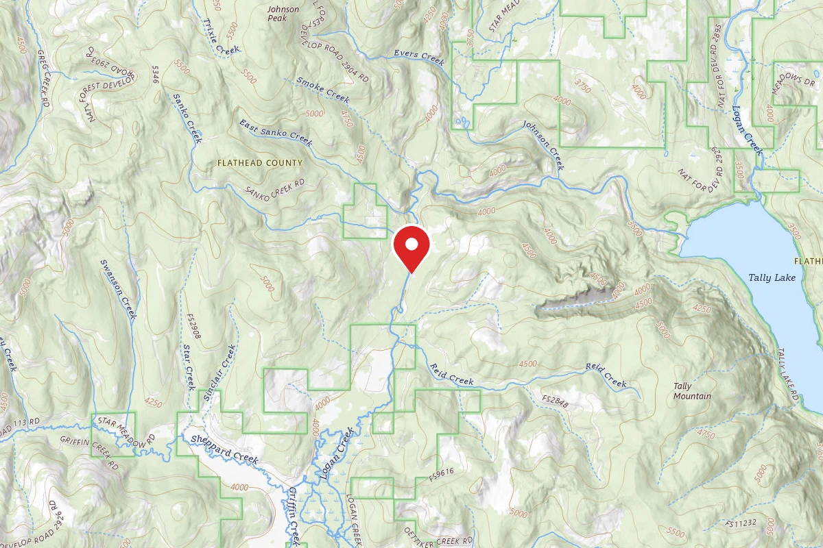 Flathead Dispersed Campsite LOGAN-1