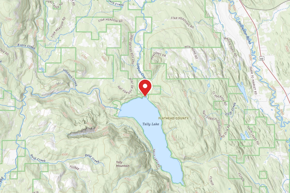 Flathead Dispersed Campsite TALLY LAKE NORTH BEACH SITE 4