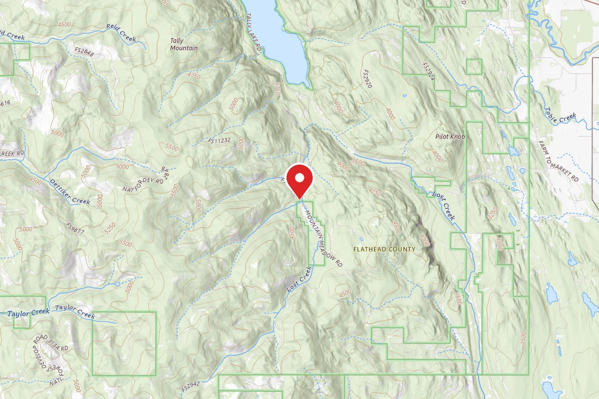 Flathead Dispersed Campsite 542-5