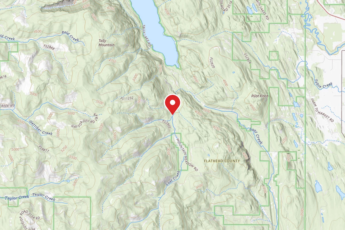 Flathead Dispersed Campsite 542-7