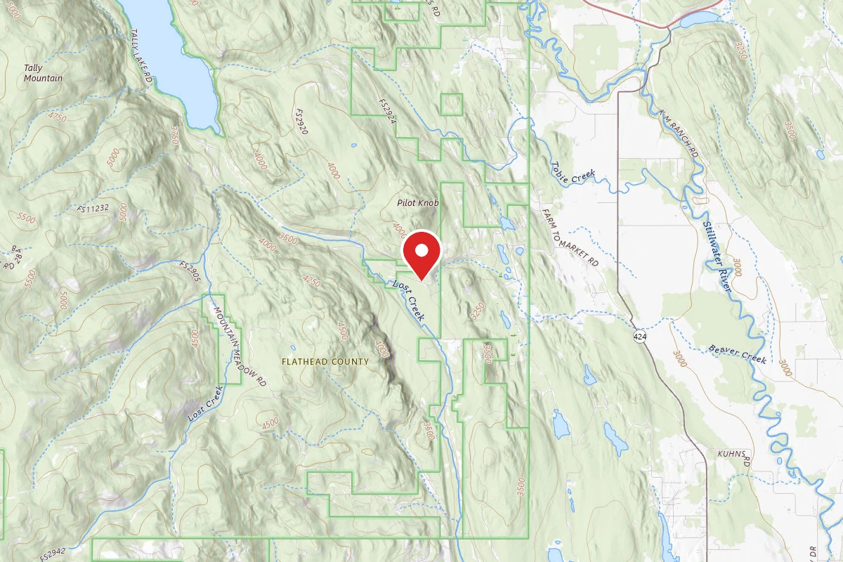 Flathead Dispersed Campsite ROAD 913-18