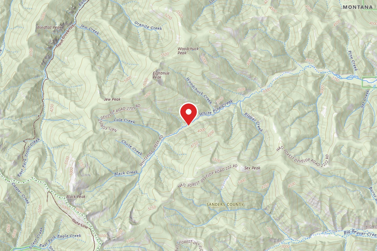 Kootenai Dispersed Campsite RD 2254 SITE 2