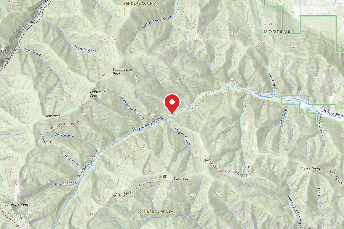 Kootenai Dispersed Campsite RD 215 SITE 11