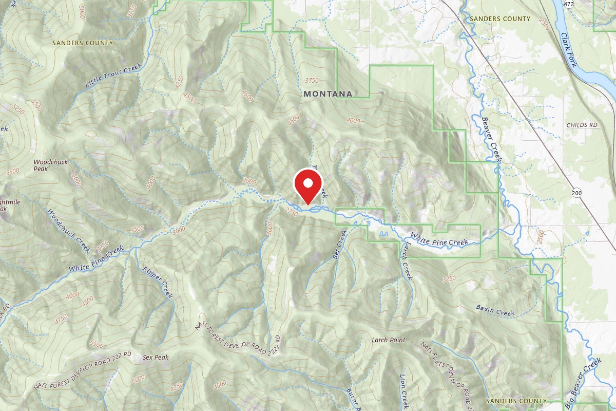Kootenai Dispersed Campsite RD 215 SITE 3C