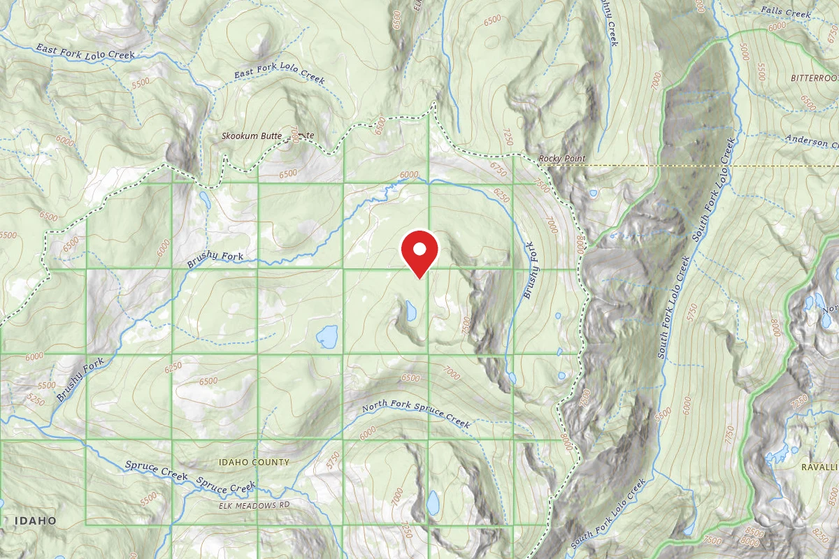Nez Perce-Clearwater Dispersed Campsite POW7550RD-003