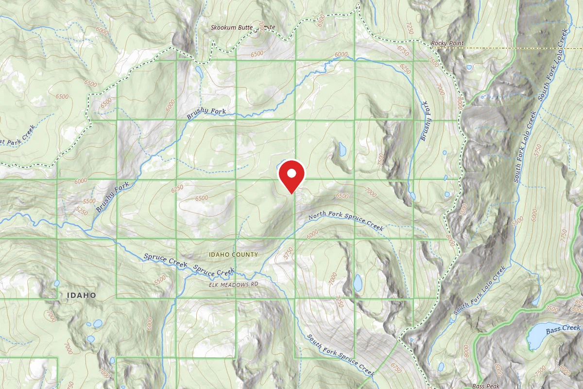 Nez Perce-Clearwater Dispersed Campsite POW373RD-009
