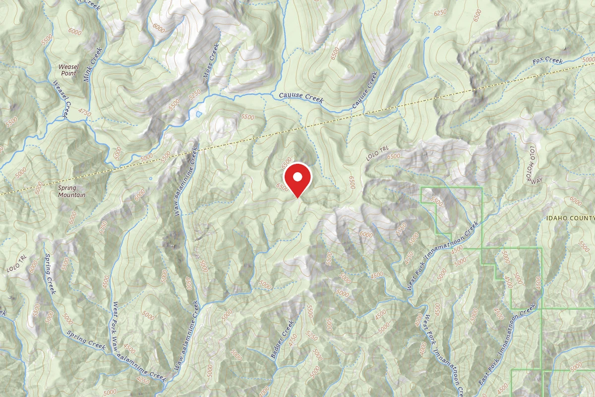 Nez Perce-Clearwater Dispersed Campsite POW500RD-003