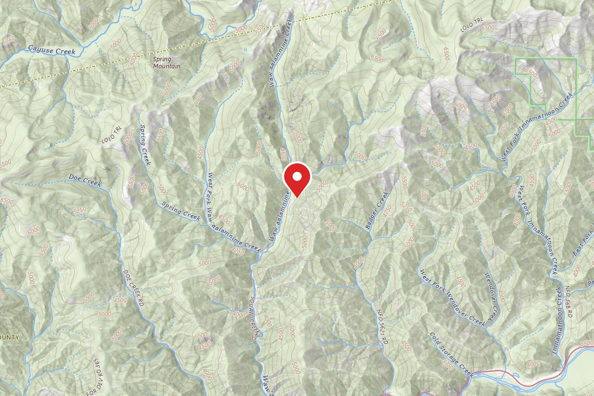 Nez Perce-Clearwater Dispersed Campsite POW108RD-004