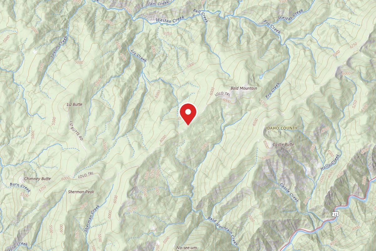 Nez Perce-Clearwater Dispersed Campsite LOC500RD-022
