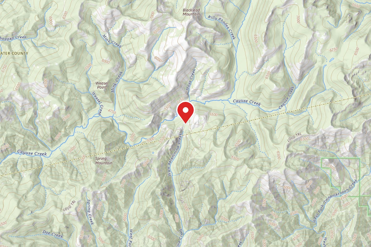 Nez Perce-Clearwater Dispersed Campsite POW500RD-004