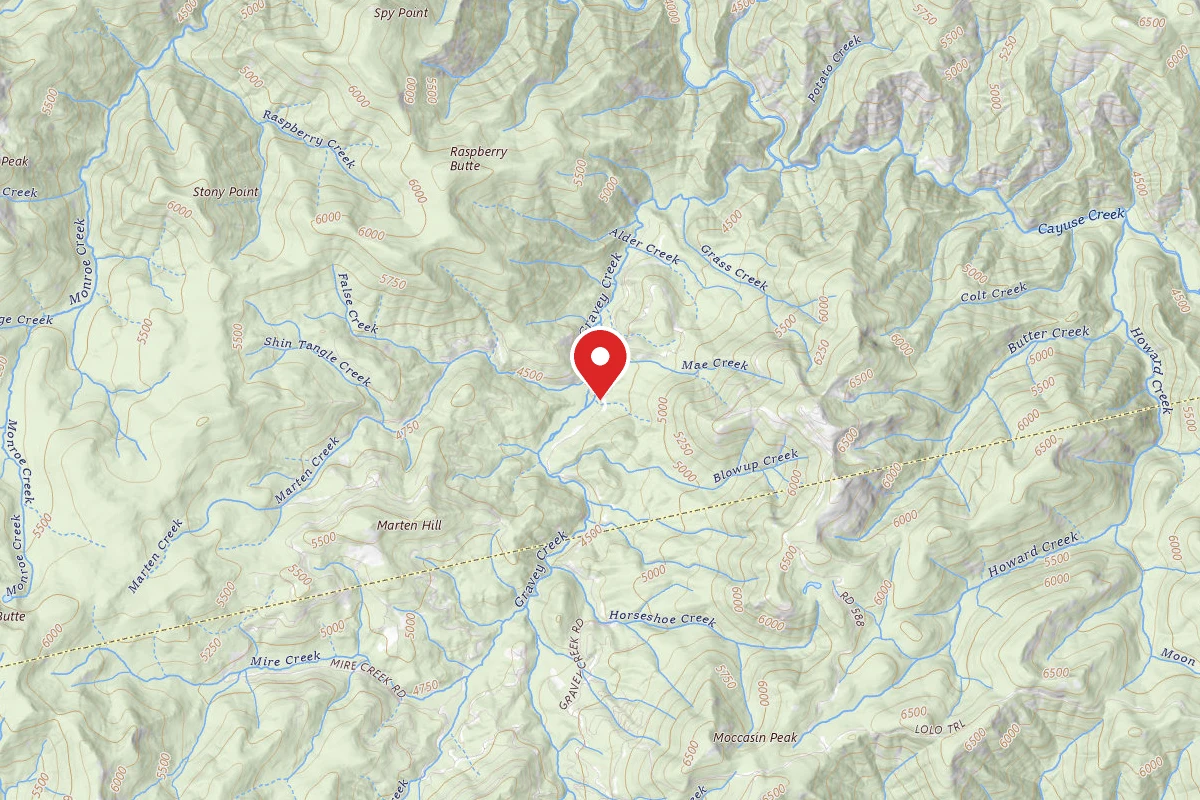Nez Perce-Clearwater Dispersed Campsite POW107RD-005