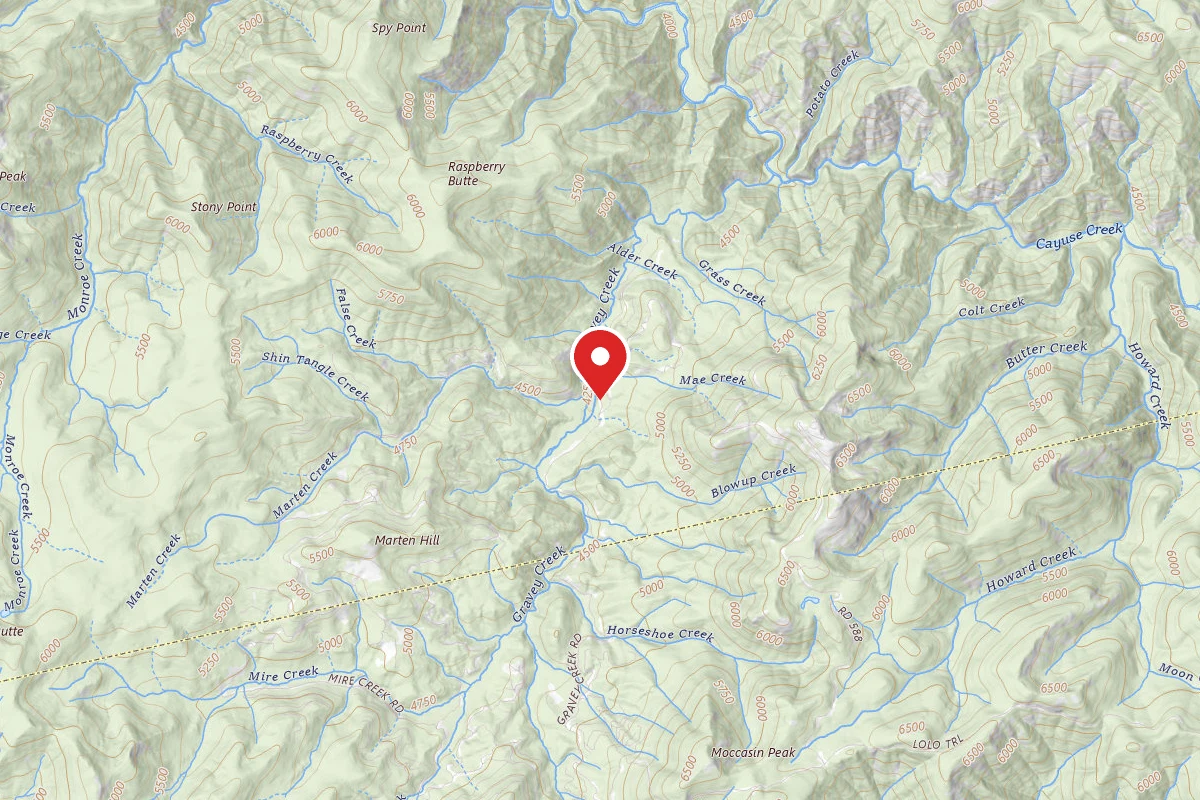 Nez Perce-Clearwater Dispersed Campsite POW107RD-006