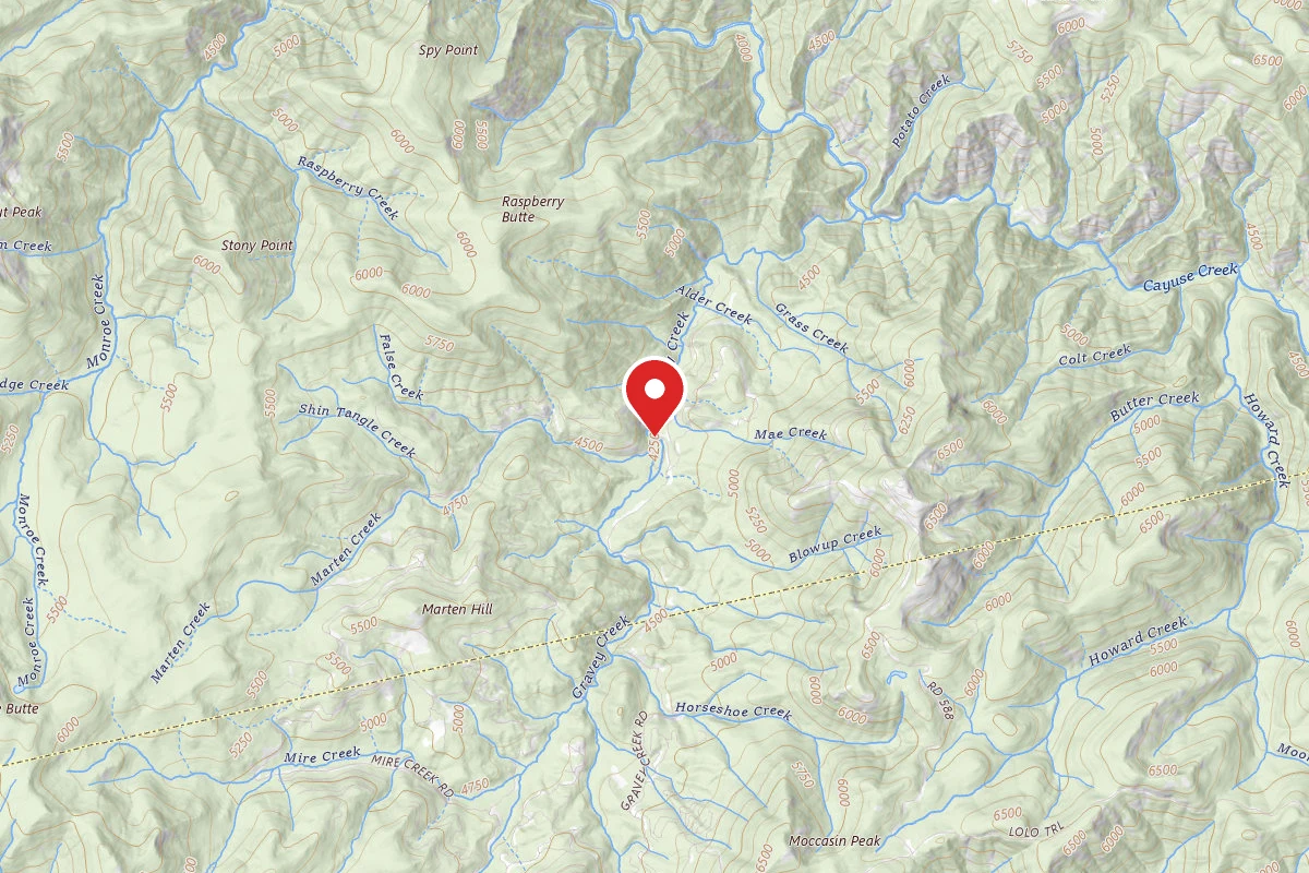 Nez Perce-Clearwater Dispersed Campsite POW107RD-007