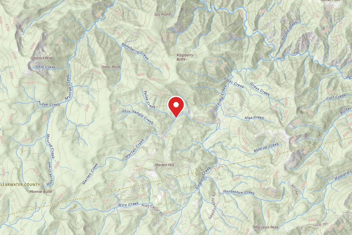 Nez Perce-Clearwater Dispersed Campsite POW587RD-008