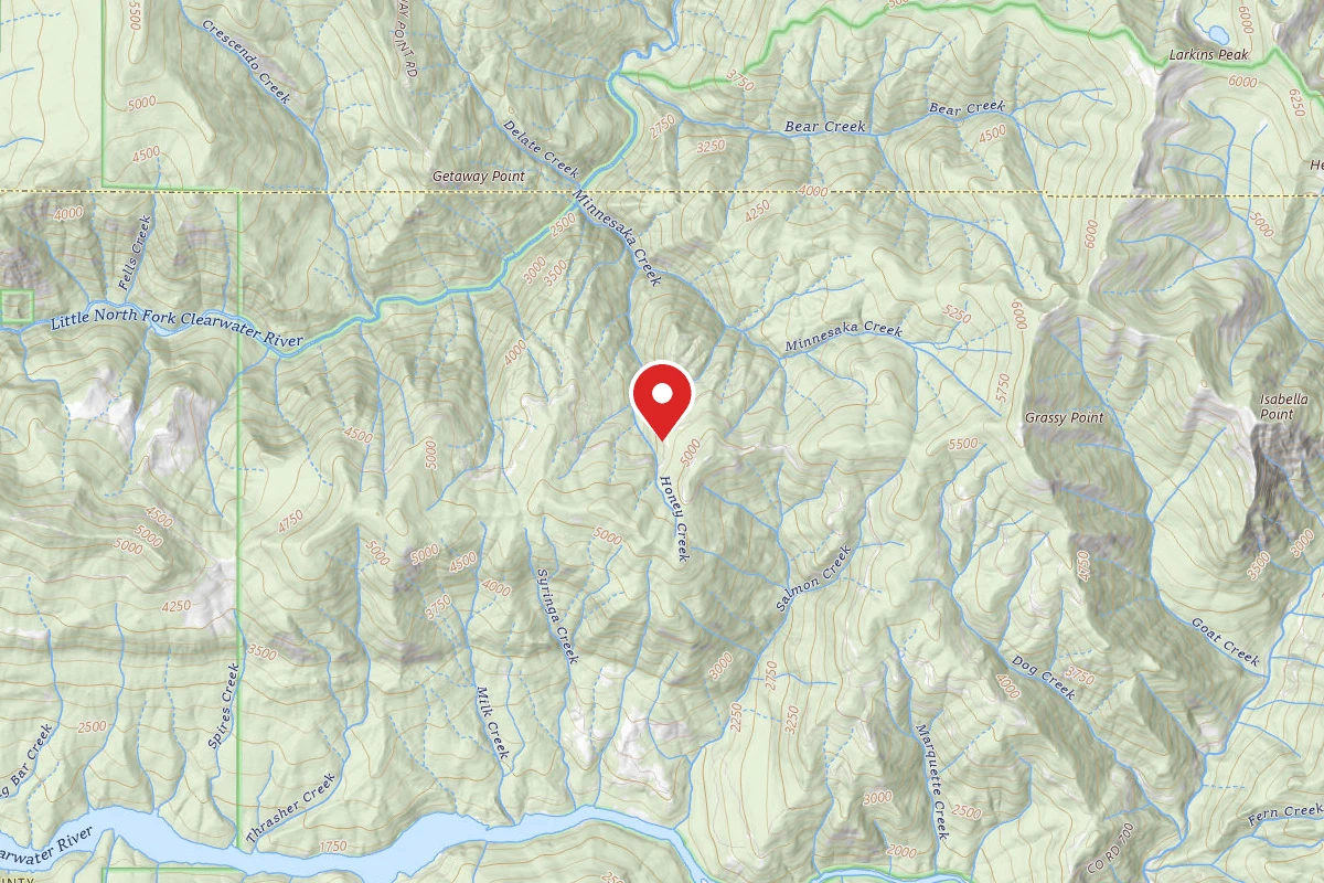 Nez Perce-Clearwater Dispersed Campsite NF700RD-001