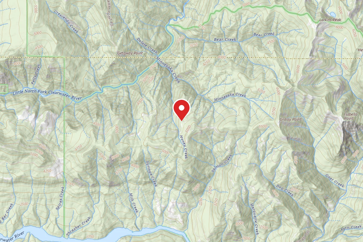 Nez Perce-Clearwater Dispersed Campsite NF700RD-002