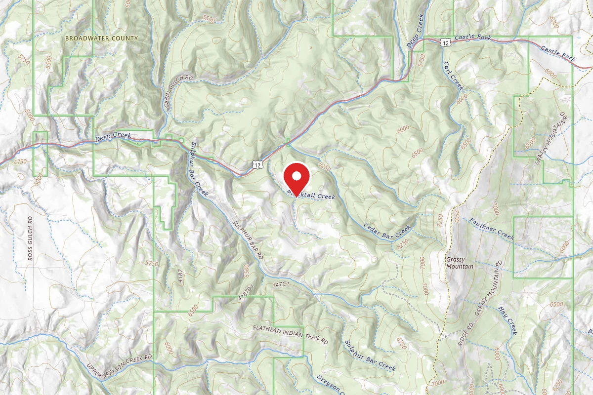 Helena-Lewis and Clark Dispersed Campsite BLACKTAIL04