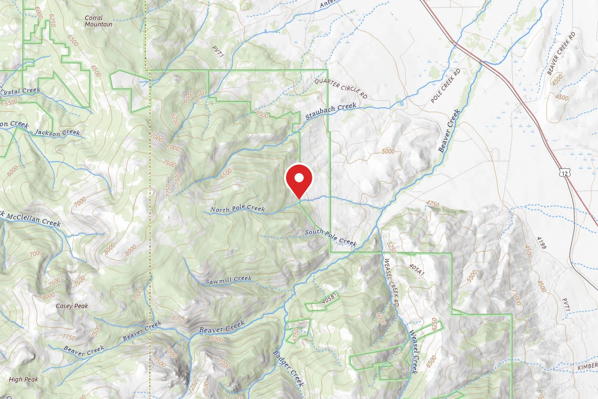 Helena-Lewis and Clark Dispersed Campsite POLECREEK01