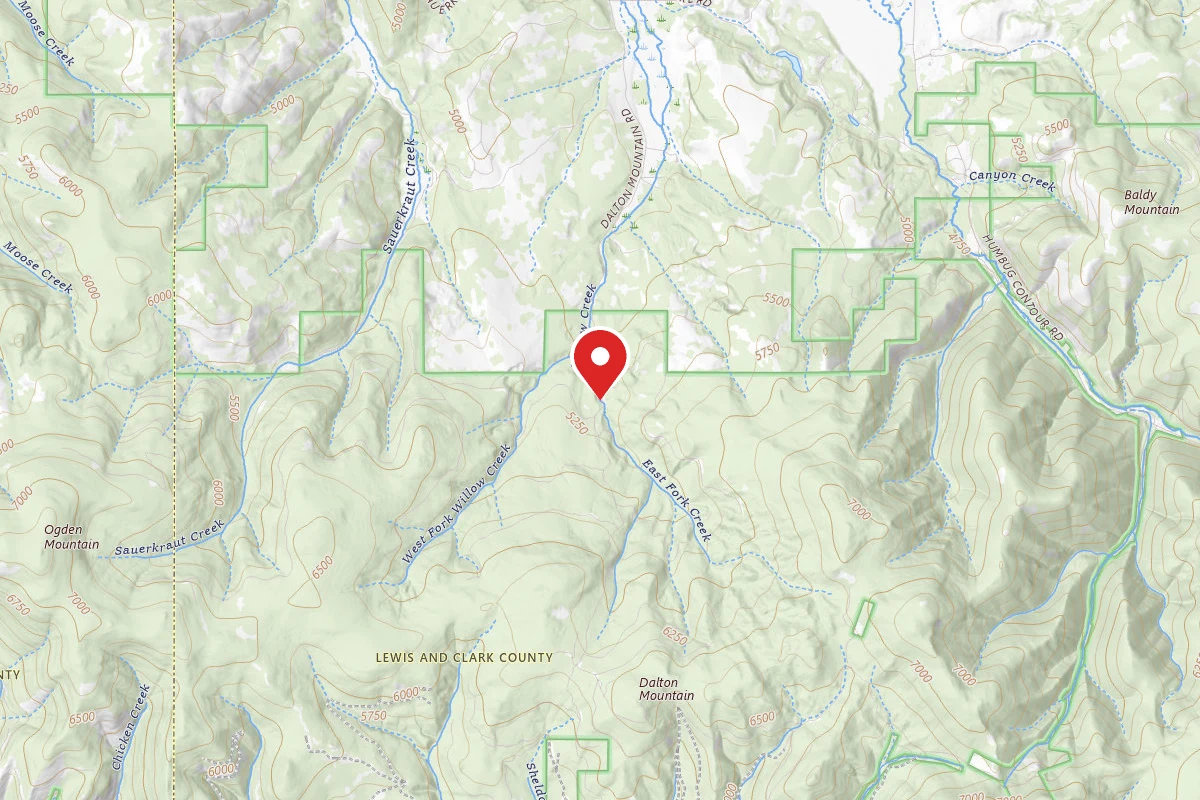 Helena-Lewis and Clark Dispersed Campsite EAST FK WILLOW 001