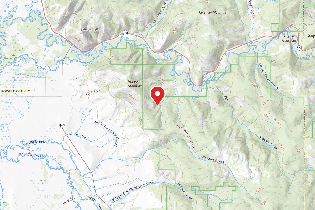 Helena-Lewis and Clark Dispersed Campsite LRD MOOSE CK 001