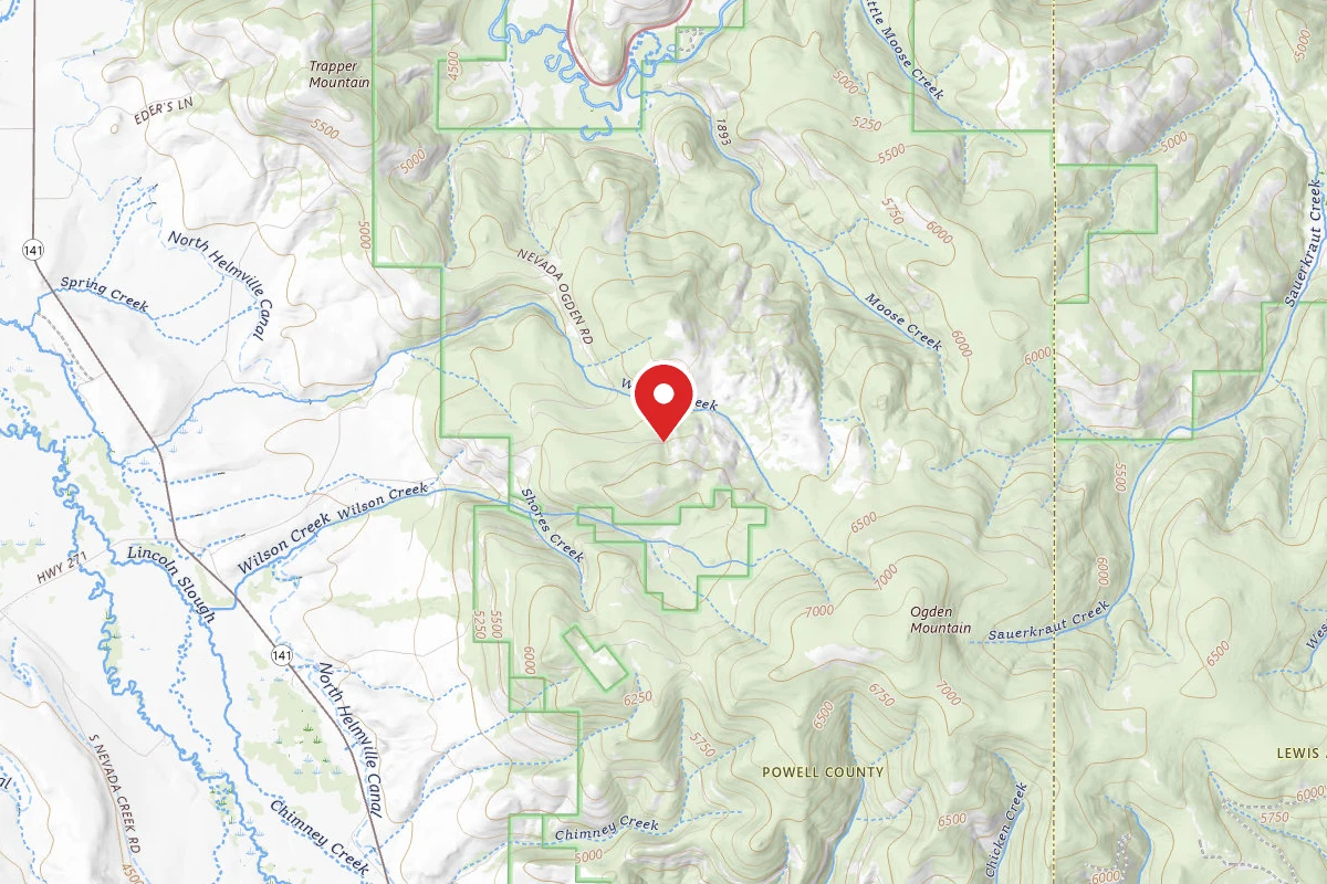 Helena-Lewis and Clark Dispersed Campsite LRD WASSON CK 001