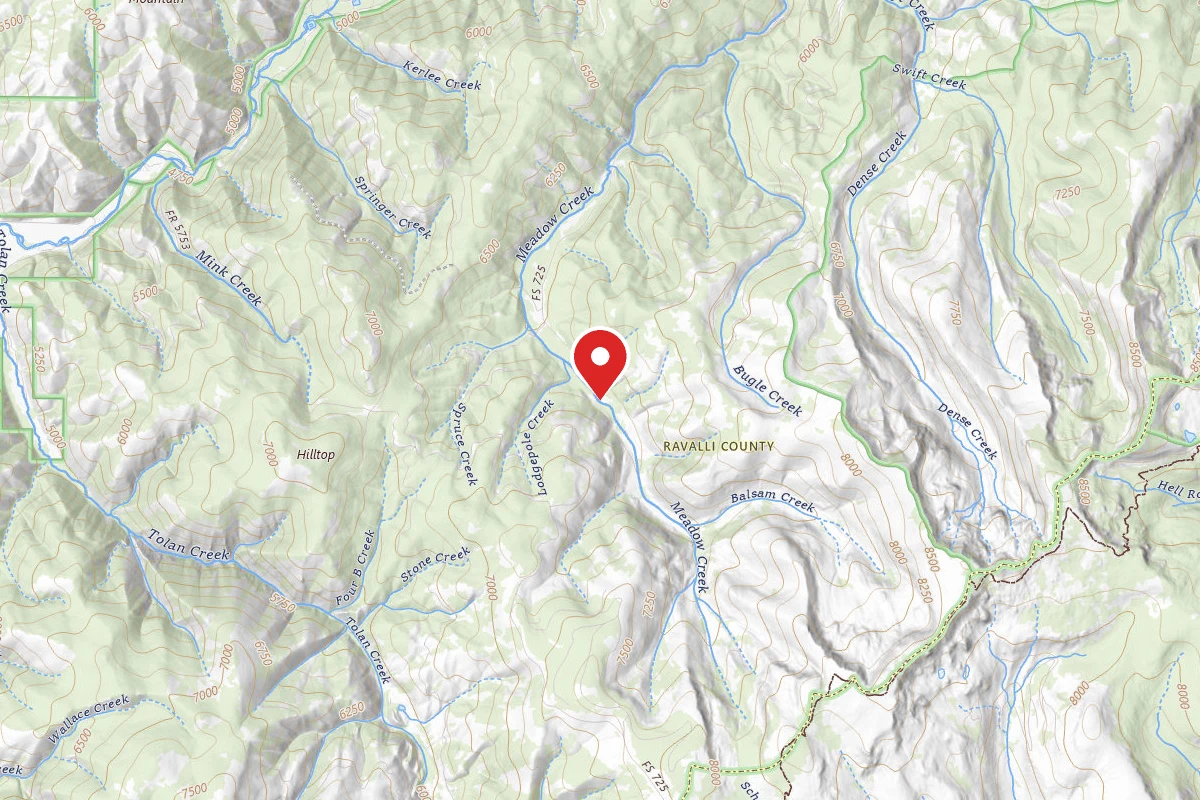 Bitterroot Dispersed Campsite BALSAM-5761-A