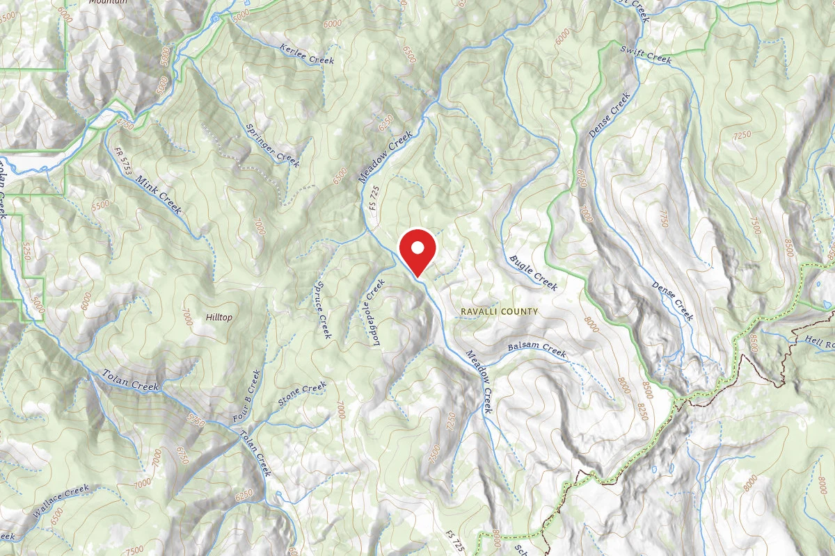 Bitterroot Dispersed Campsite BALSAM-5761-B