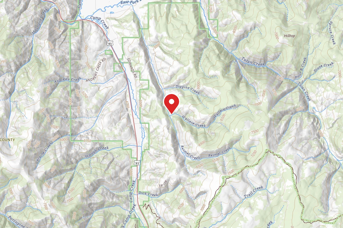 Bitterroot Dispersed Campsite 727-001