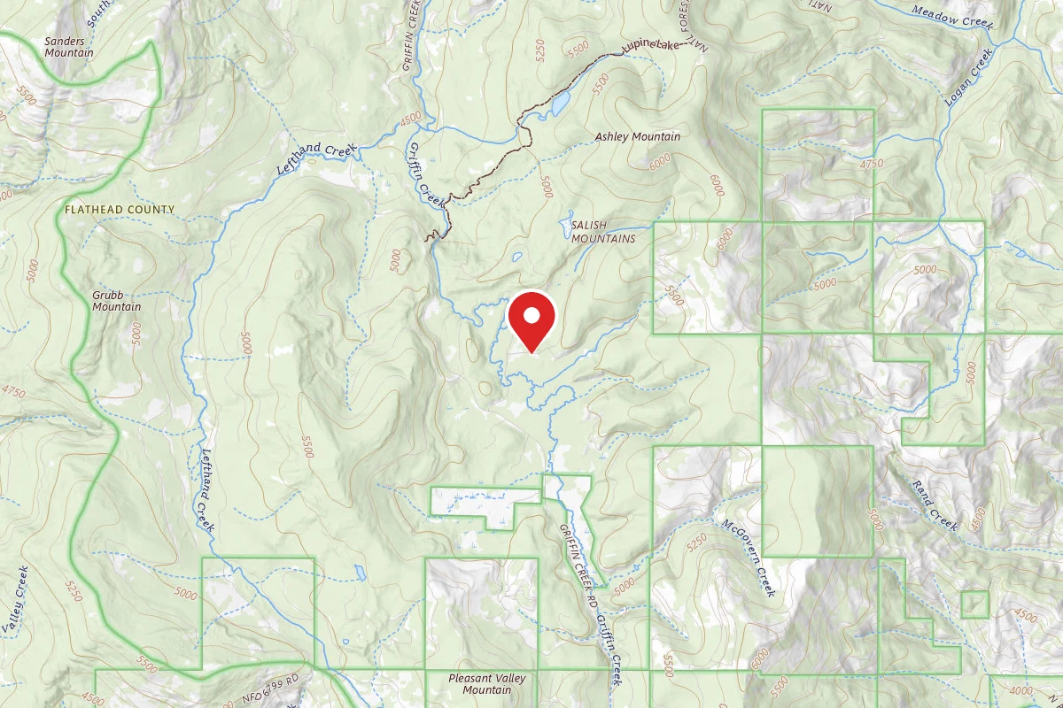 Flathead Dispersed Campsite 9635-1