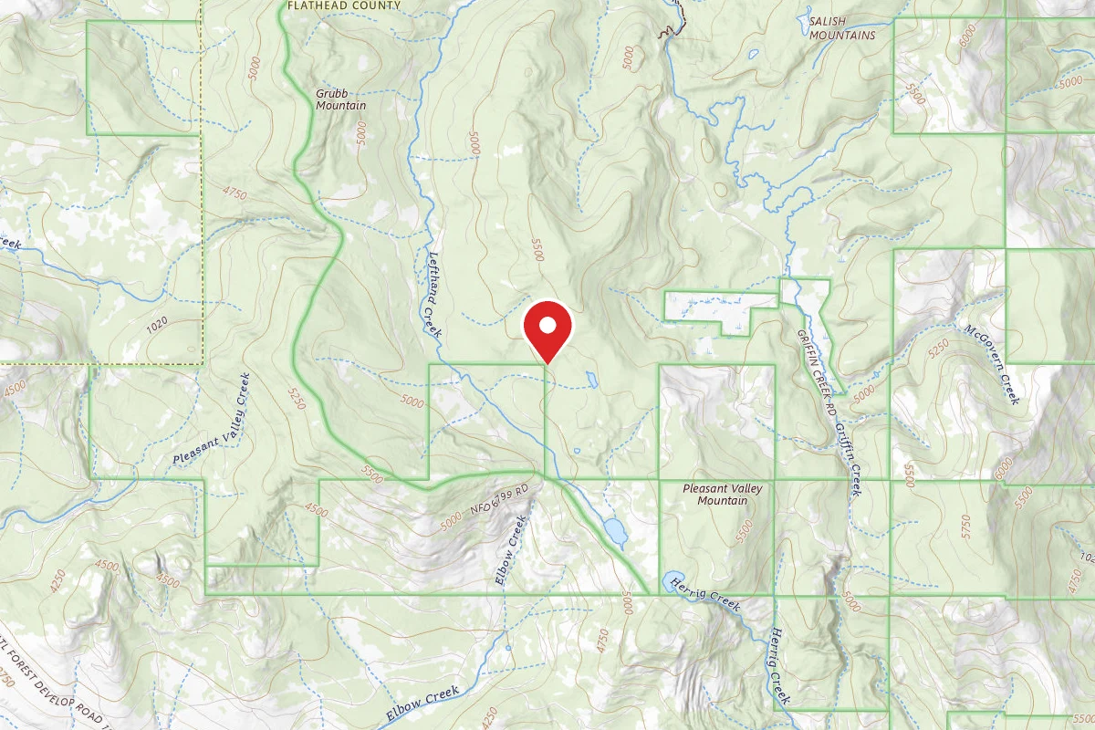Flathead Dispersed Campsite COW CAMP 1