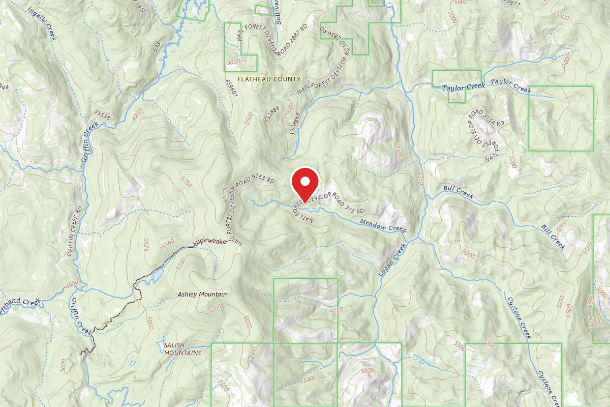 Flathead Dispersed Campsite 313