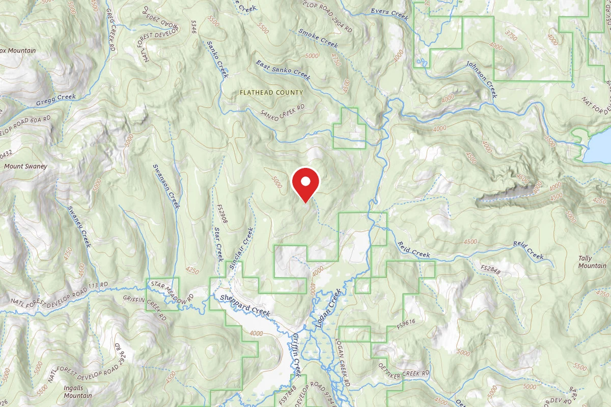 Flathead Dispersed Campsite SANKO 1