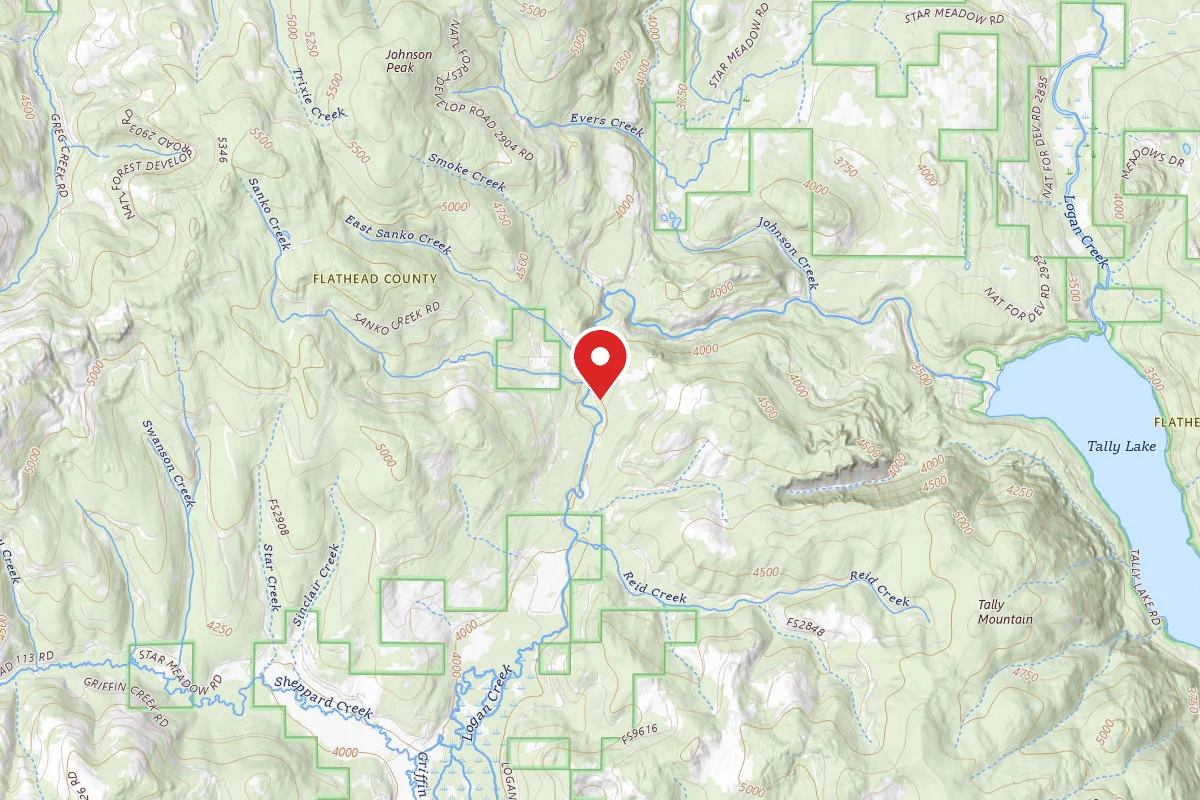 Flathead Dispersed Campsite LOGAN 4