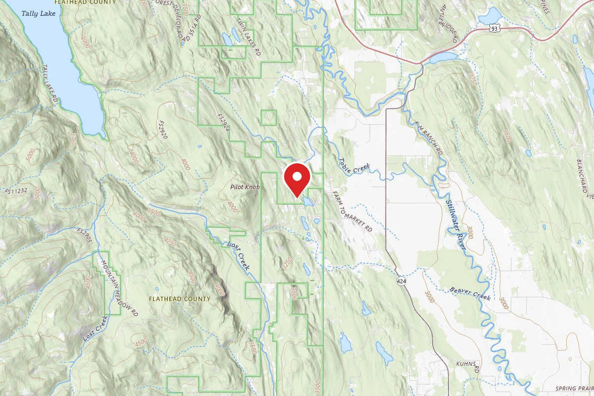 Flathead Dispersed Campsite 2924-1