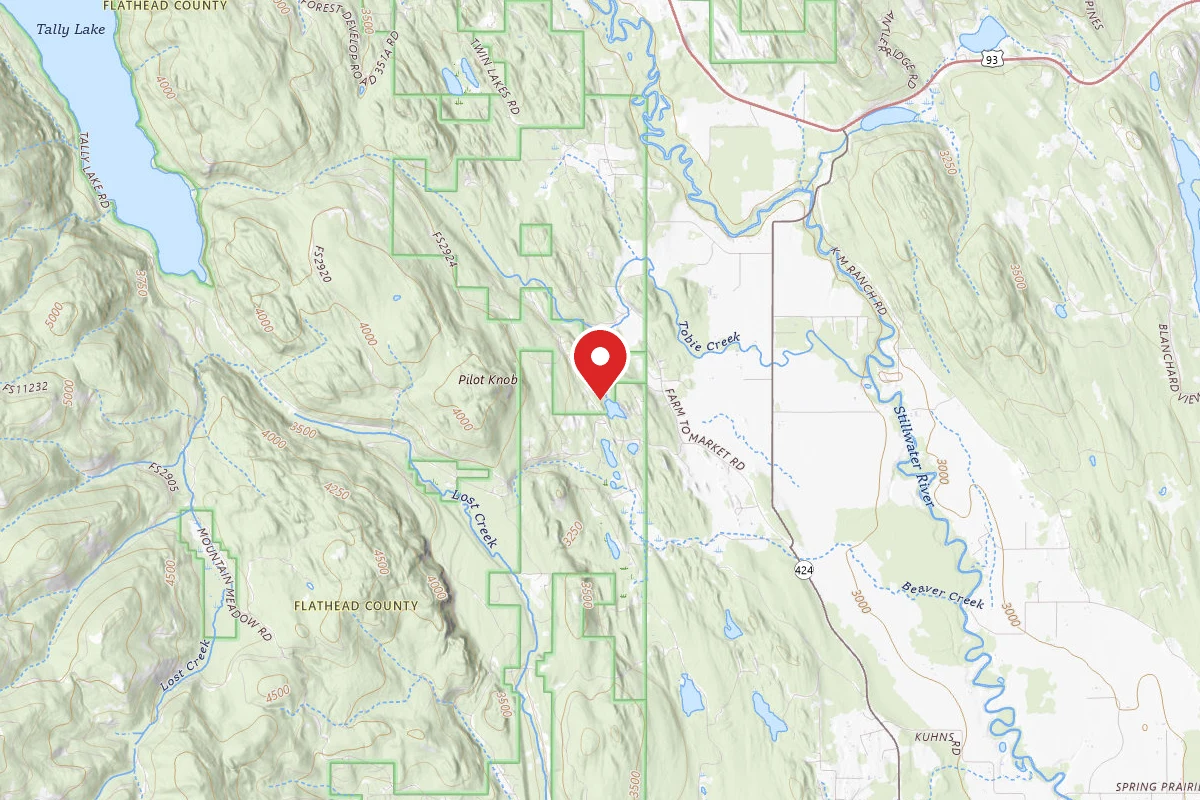 Flathead Dispersed Campsite 2924-2