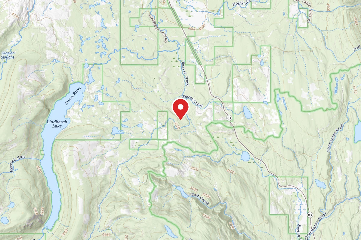 Flathead Dispersed Campsite RD 9563-3 BEAVER CREEK AREA